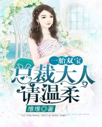 一胎双宝：总裁大人请温柔